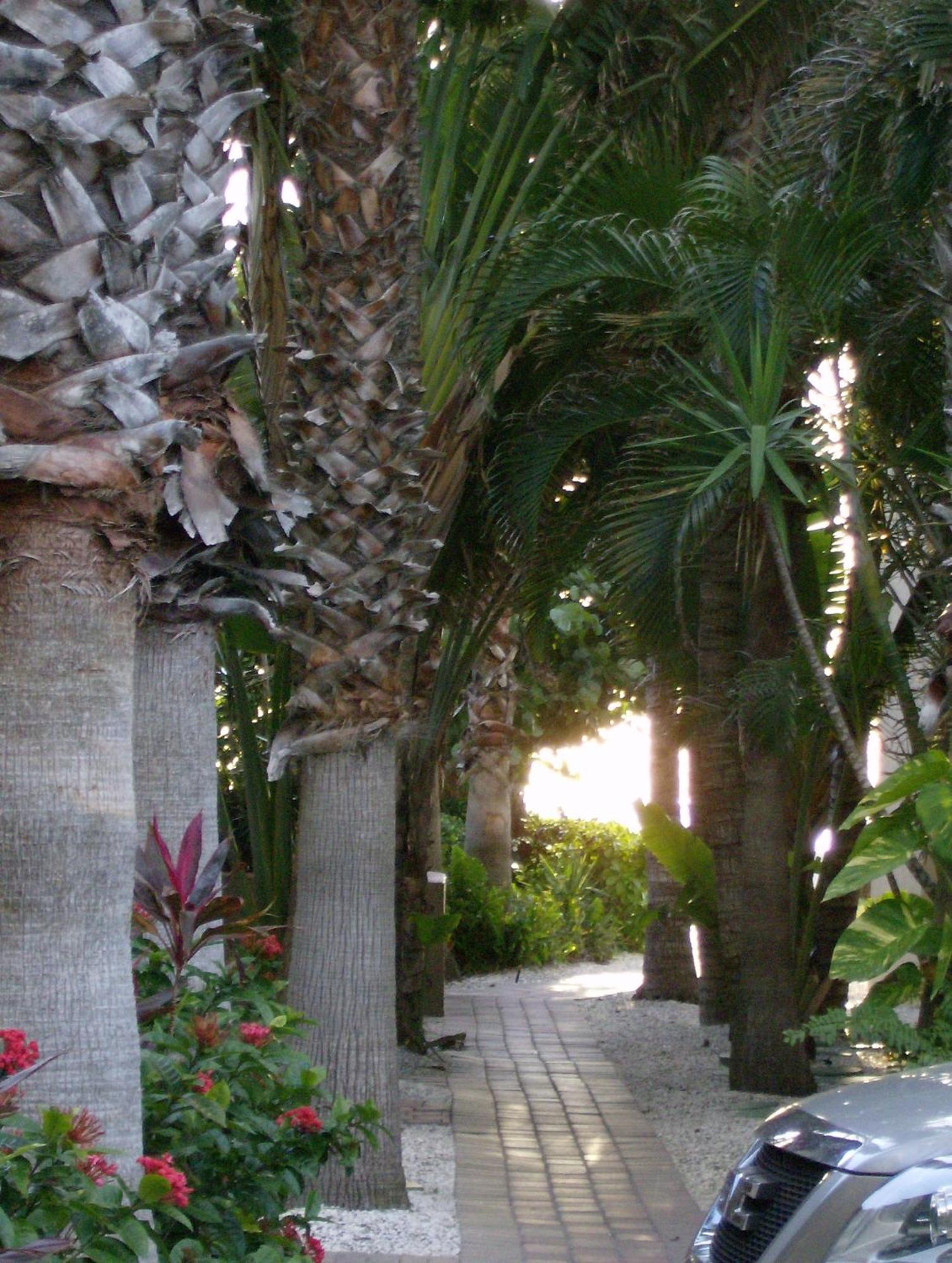 Turtle Crawl Inn - Longboat Key Kültér fotó